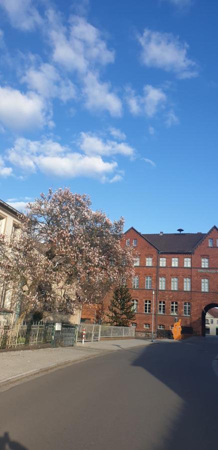 Spree Hotel In Der Altstadt Luebbenau Exterior photo